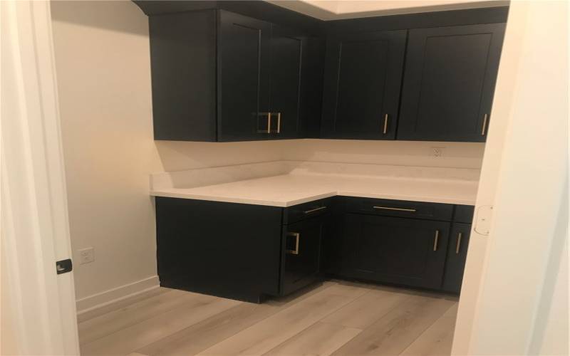 Upgraded Pantry with fridge space