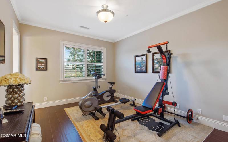 Downstairs Bed/workout room