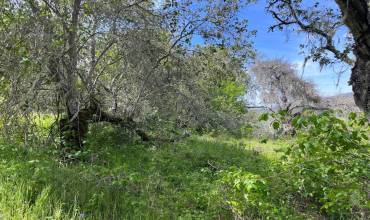 33446 E Carmel Valley Road