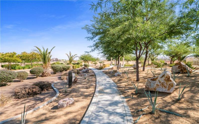 Desert Vista Village HOA Amenities