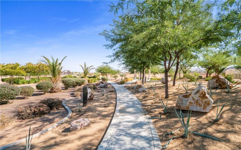 Desert Vista Village HOA Amenities