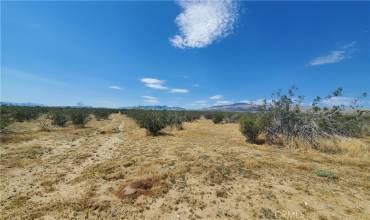 0 Budlong Ave & 114th St West, Rosamond, California 93560, ,Land,Buy,0 Budlong Ave & 114th St West,SR23171065