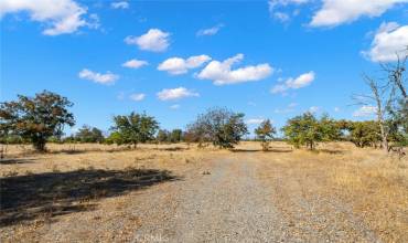 6324 County Road 9, Orland, California 95963, ,Land,Buy,6324 County Road 9,SN23186114