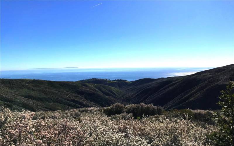 Views of the Pacific Ocean, canyons and Catalina Island from Barrymore Dr in front of the property