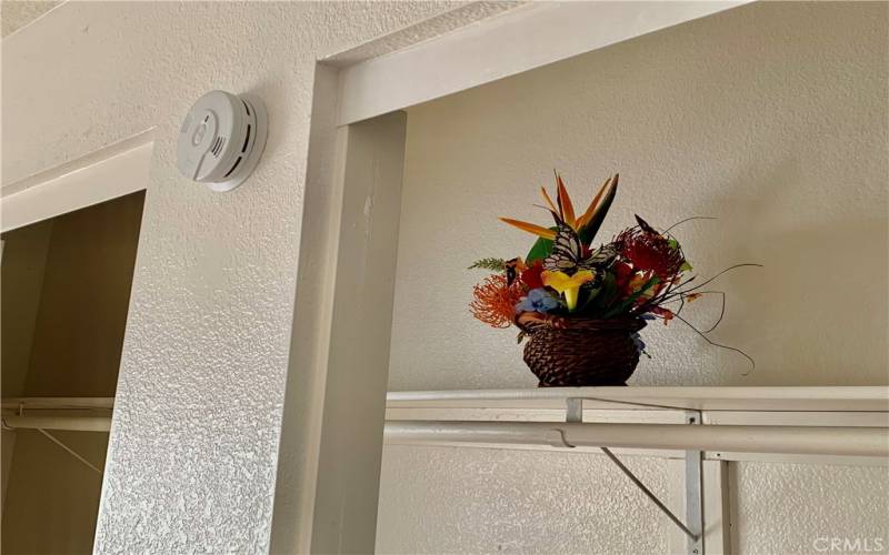 Smoke detector, an expanded closet in bedroom.