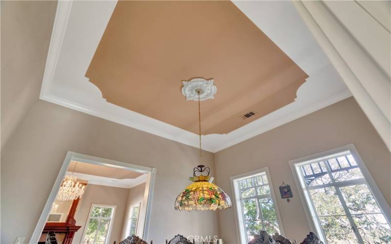 Tray ceilings in living and dining room