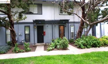 1376 Tree Garden Pl, Concord, California 94518, 2 Bedrooms Bedrooms, ,1 BathroomBathrooms,Residential,Buy,1376 Tree Garden Pl,41044422
