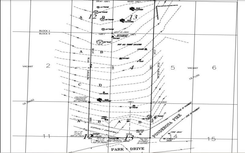 Old Topo Survey - deemed reliable, not guaranteed