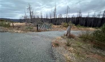 11690 Oroville Quincy, Berry Creek, California 95916, ,Land,Buy,11690 Oroville Quincy,SN23219374