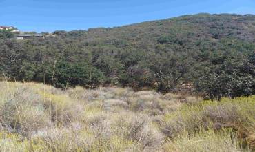 22920 Constance Way, Tehachapi, California 93561, ,Land,Buy,22920 Constance Way,230023463SD