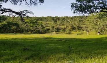 0 Bethridge Road, Oroville, California 95966, ,Land,Buy,0 Bethridge Road,OR21164903