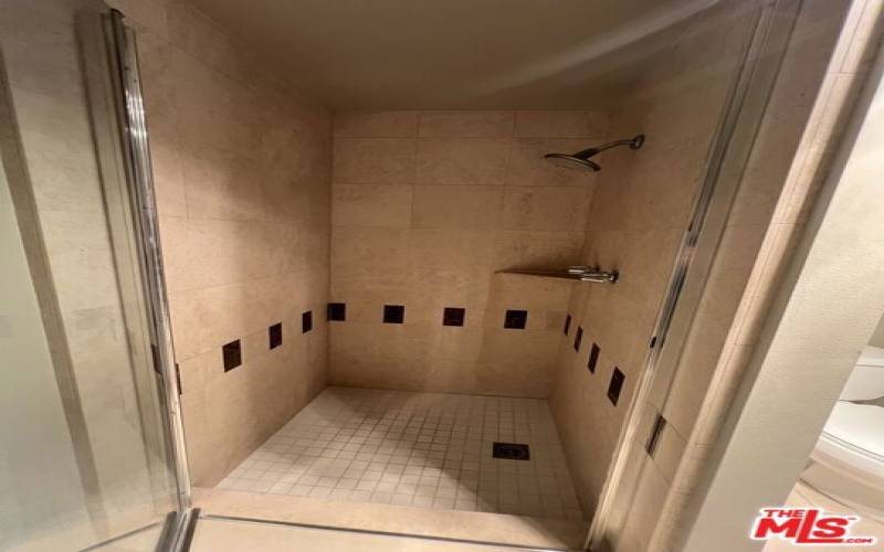 Primary Separate Shower