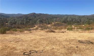 9850 Adobe Creek Road, Kelseyville, California 95451, ,Land,Buy,9850 Adobe Creek Road,LC24007526