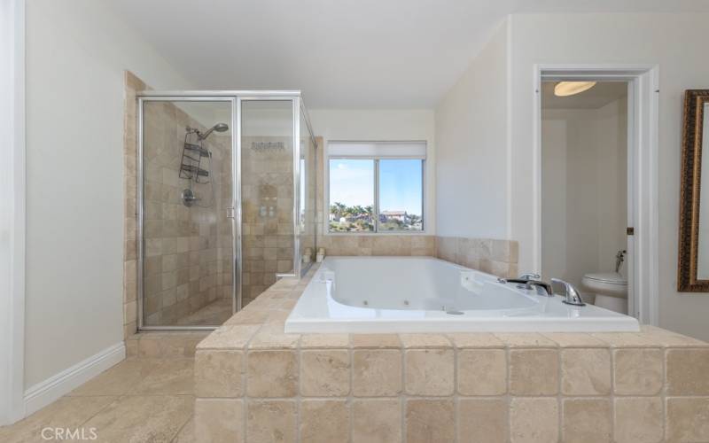 Master bath with separate shower & Jetted tub