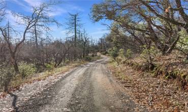 0 Little Ridge Road, Berry Creek, California 95916, ,Land,Buy,0 Little Ridge Road,SN24012402