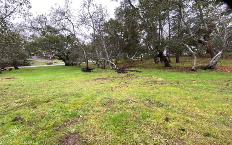 From northeast corner looking toward Kenneth.