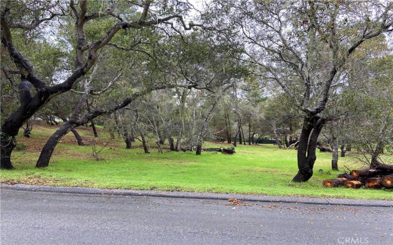 View of east half of lot from street.