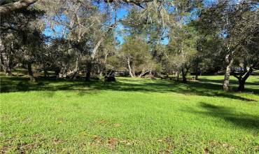 0 Kenneth, Cambria, California 93428, ,Land,Buy,0 Kenneth,SC24012358