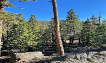 15328043 Piute Pines Rise, Caliente, California 93518, ,Land,Buy,15328043 Piute Pines Rise,HD24013730