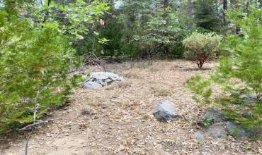 7 Laurel Trail, Pine Cove, California 92549, ,Land,Buy,7 Laurel Trail,240002077SD