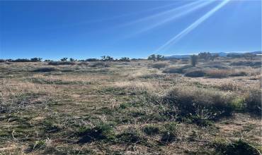 0 Tricobble Court, Phelan, California 92371, ,Land,Buy,0 Tricobble Court,IV24016515