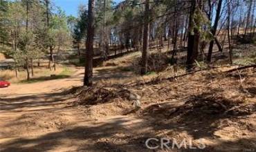11345 Concow Road, Oroville, California 95965, ,Land,Buy,11345 Concow Road,SN24017274