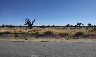 0 190 St West & Ave C10, Fairmont, California 93536, ,Land,Buy,0 190 St West & Ave C10,SR22109720