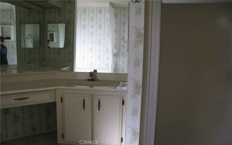 Large vanity in master bath, doublr sinks , shower
