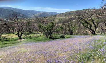 0 Cachagua, Carmel Valley, California 93924, ,Land,Buy,0 Cachagua,ML81884266