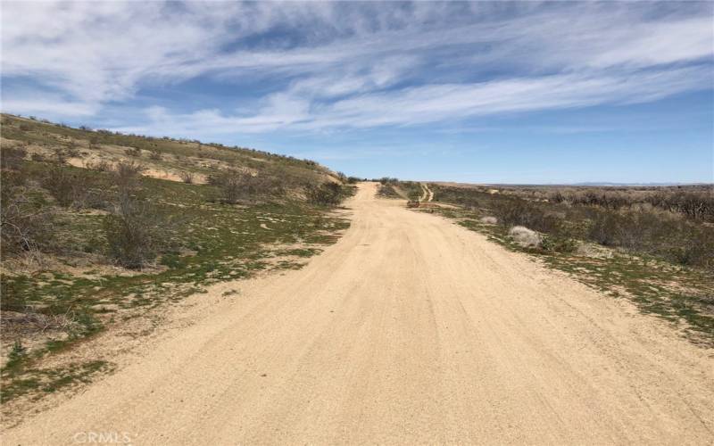 View looking north from the center of the road. Great access road to your parcel.