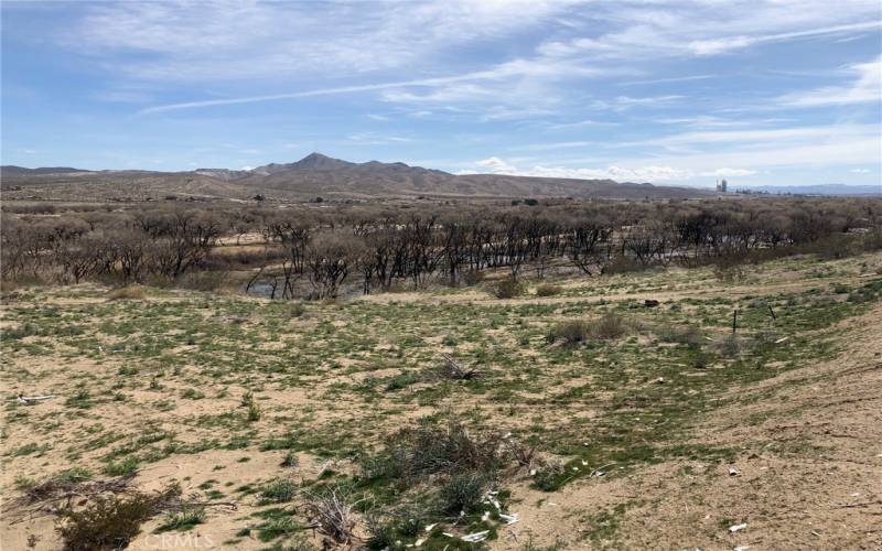 You can see and hear the Mojave River!!