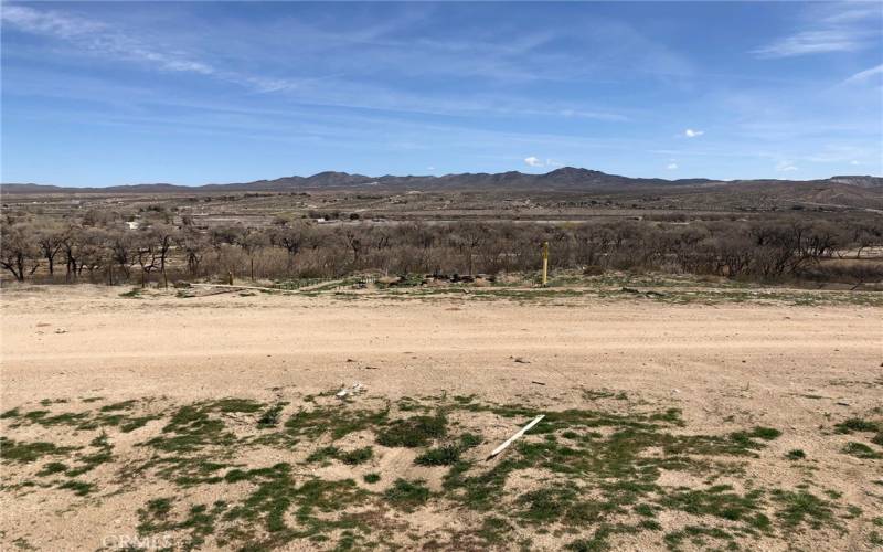 View standing on the front of your new lot. You can see the Yellow Stake across the street which is marked for a natural gas line.