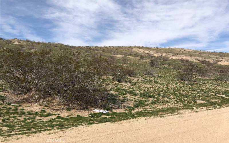 View looking NW towards the edge of the northern boundary.