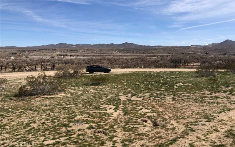 Give you an idea of the terrain. This is the middle of the lot. Mostly flat.