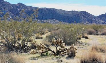 64755 Foothill Drive, Joshua Tree, California 92252, ,Land,Buy,64755 Foothill Drive,JT24018734