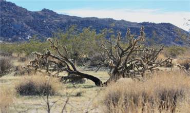 64647 Foothill Drive, Joshua Tree, California 92252, ,Land,Buy,64647 Foothill Drive,JT24018736