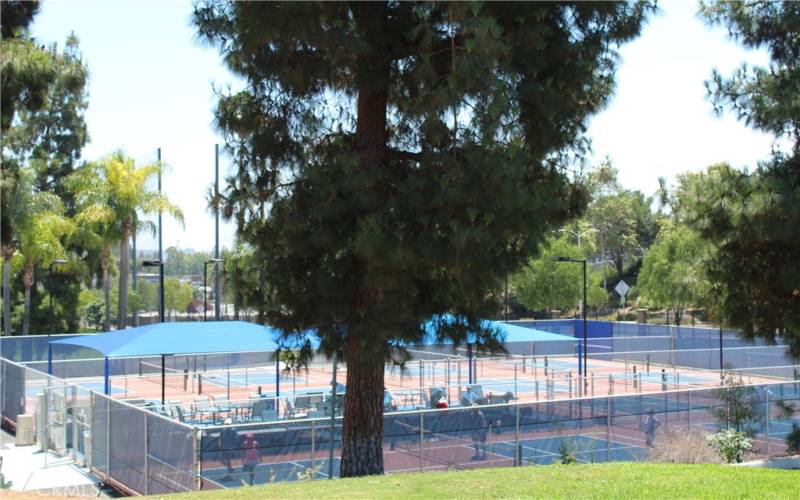Lighted Pickleball Courts