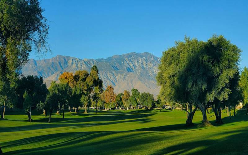 Suncrest Tom Golf Course photo