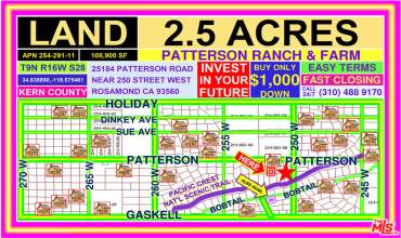 25014 W PATTERSON Road, Rosamond, California 93560, ,Land,Buy,25014 W PATTERSON Road,24355045