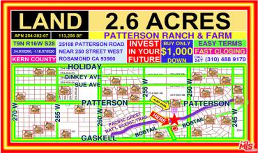 25018 W pATTERSON Road, Rosamond, California 93560, ,Land,Buy,25018 W pATTERSON Road,24355379