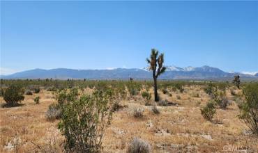 0 Vac/Pb Hwy/Vic 208th Ste, Llano, California 93544, ,Land,Buy,0 Vac/Pb Hwy/Vic 208th Ste,CV23074151