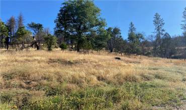 3154 Wild Dove Lane, Mariposa, California 95338, ,Land,Buy,3154 Wild Dove Lane,MP23148188