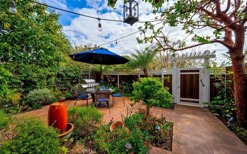 Private gated entrance patio with fountain, brand new BBQ, al fresco dining.
