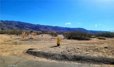 73485 Old Dale Road, 29 Palms, California 92277, ,Land,Buy,73485 Old Dale Road,JT24028204