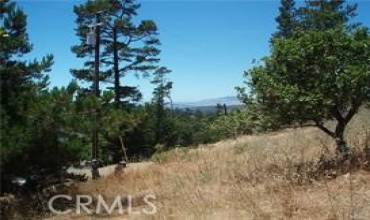 1650 Pierce, Cambria, California 93428, ,Land,Buy,1650 Pierce,SC24028181