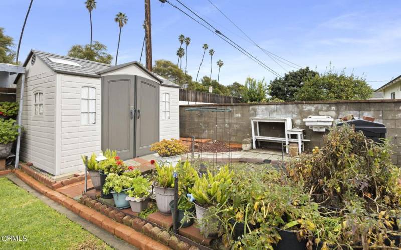 Shed/Veggie Patch