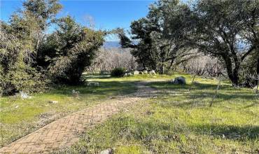 363 Raccoon Road, Berry Creek, California 95916, ,Land,Buy,363 Raccoon Road,OR24029245