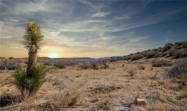 50600 Burns Canyon Road, Pioneertown, California 92268, ,Land,Buy,50600 Burns Canyon Road,JT23024070