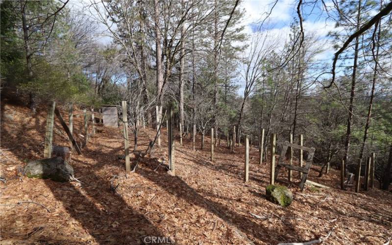 Fenced orchard area with old fruit trees