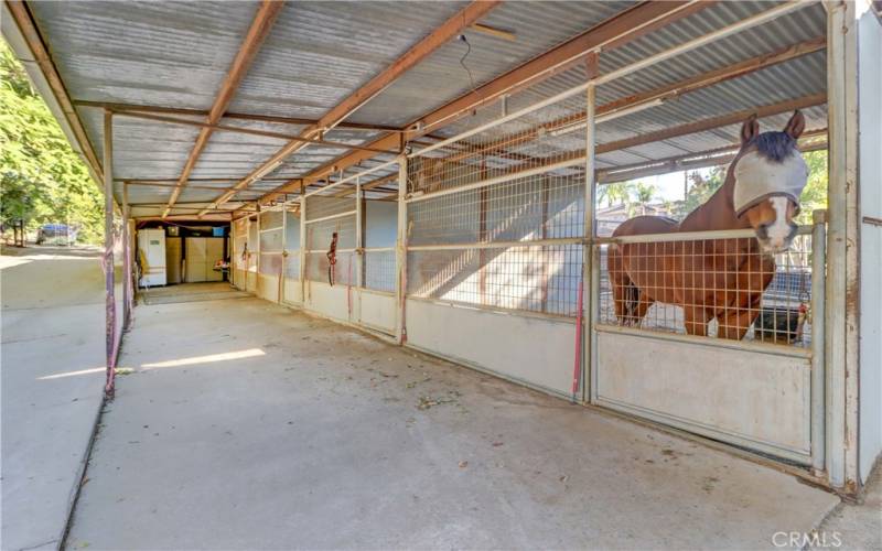 breezeway for some of the stalls leading to feed room